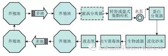 目前关于循环水养殖系统最详细的介绍，领悟了就是半个专家，敬请收藏！