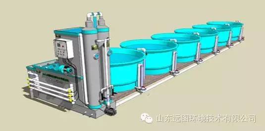 目前关于循环水养殖系统最详细的介绍，领悟了就是半个专家，敬请收藏！