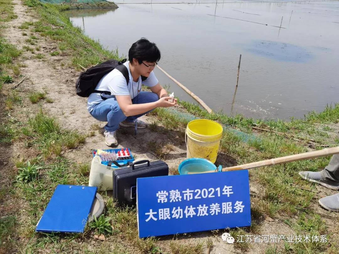 江苏省河蟹体系常熟推广示范基地多措并举全方位做好河蟹养殖指导服务工作