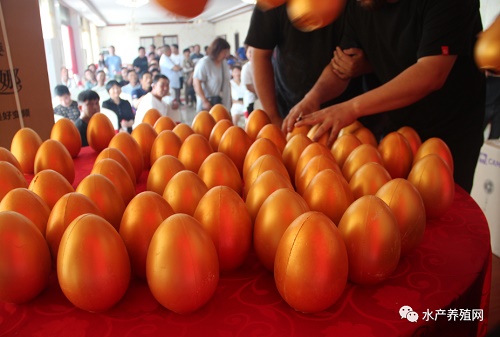 90后经销商，4年饲料销量达到1000吨，今年他要携手南京极泓生物冲击100万