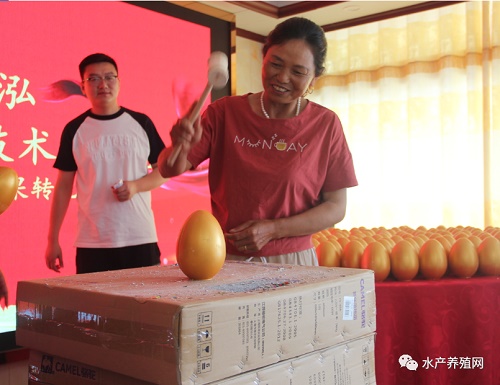 90后经销商，4年饲料销量达到1000吨，今年他要携手南京极泓生物冲击100万