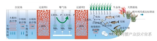 池塘养殖尾水治理模式技术要点（“三池两坝”治理模式）