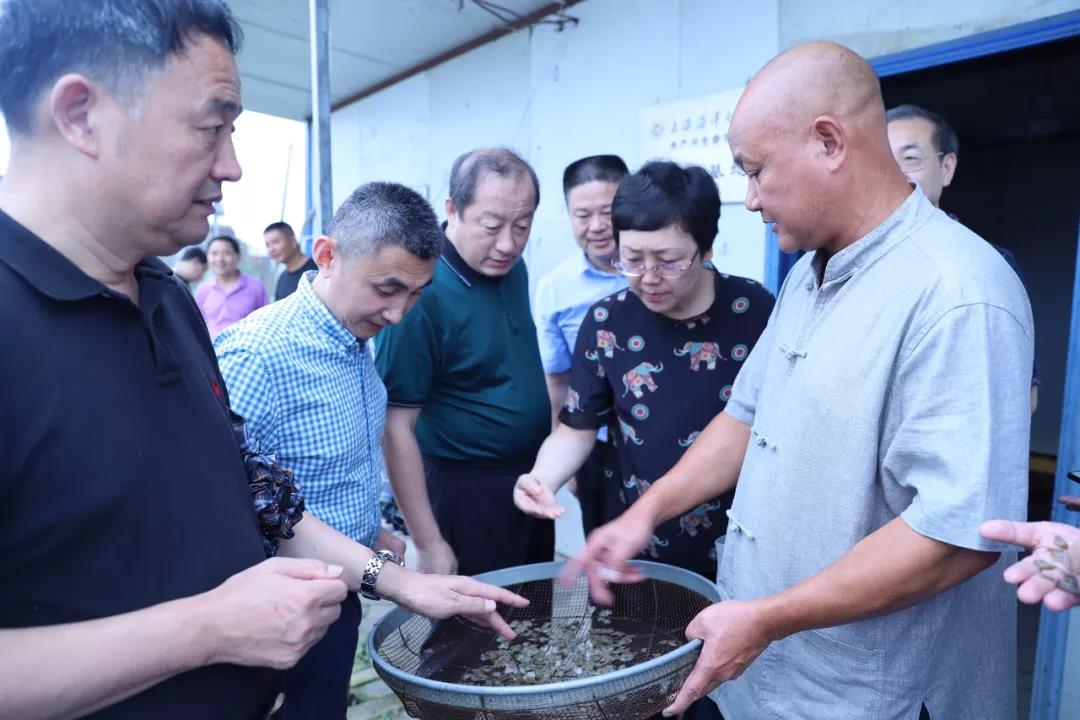 淡水珍珠蚌新品种现场发布会在安徽宣城召开