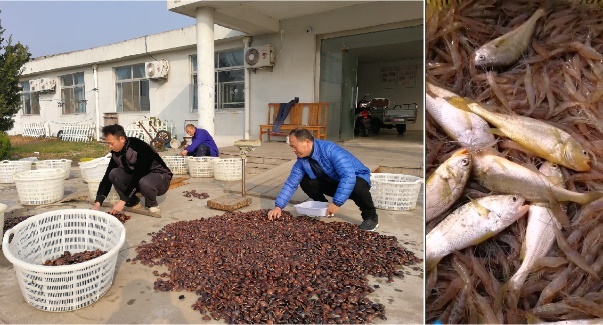 经济贝类绿色高效技术介绍