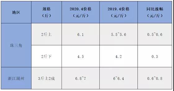 2020年生鱼年终盘点：年初遭遇“黑天鹅”滞销，下半年起势突破11元/斤