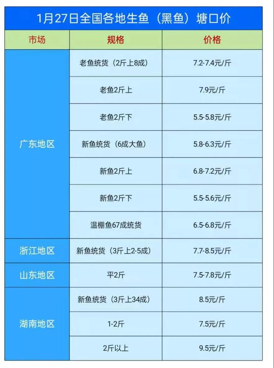 疫情不稳定，挡不住黑鱼价格上涨！流通商：原料猛涨，黑鱼料没涨！市场销量不好！