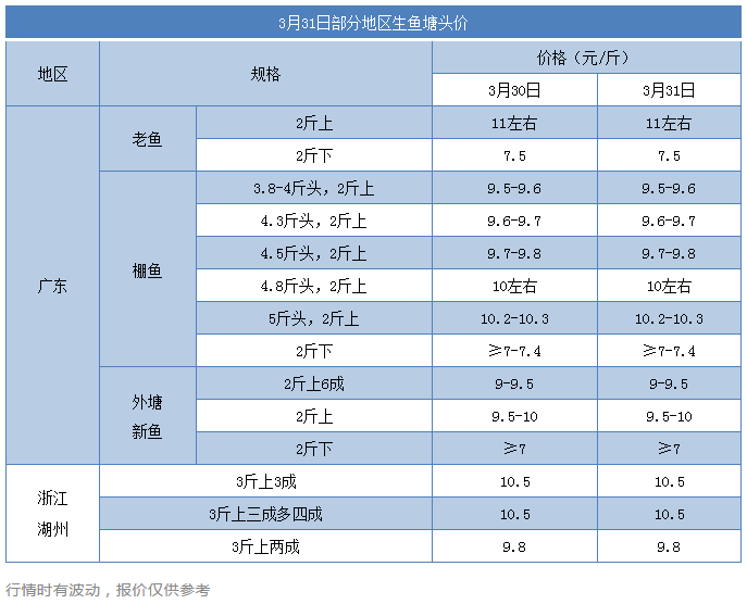 生鱼价格走高，养户纷纷抢早苗，今年“黑芝麻”还会变“黑金”吗？