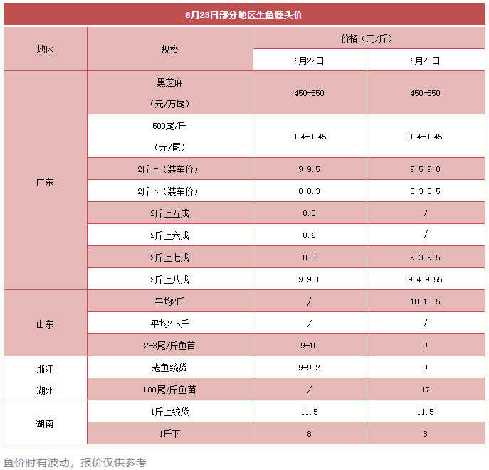 大鱼是硬通货！财富鱼又回来了，睡醒一觉一塘鱼又多了几万块！