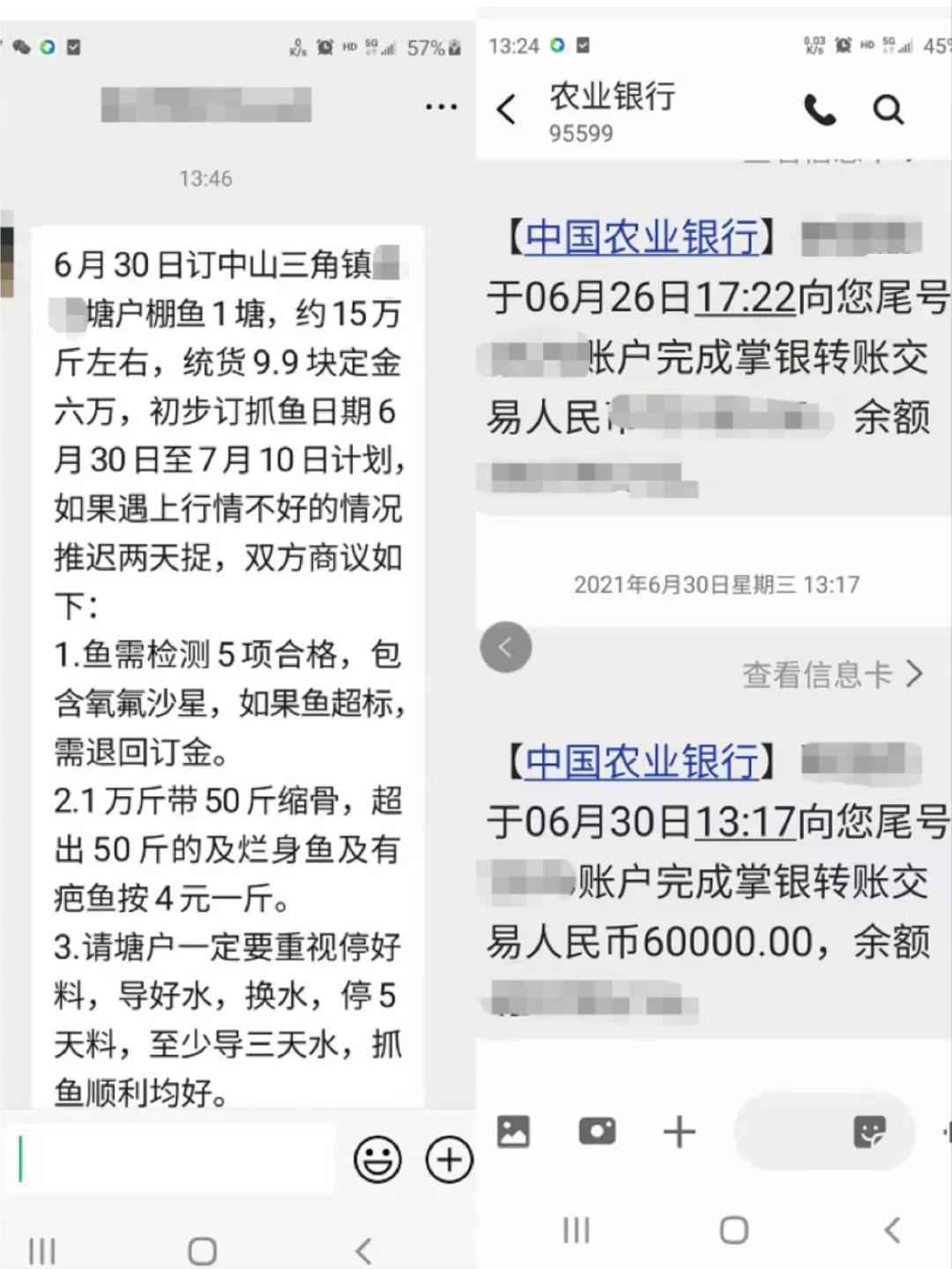 ​广东秋苗季开始了，鱼苗微涨！大鱼供不应求，有养户毁约重卖，多赚6万