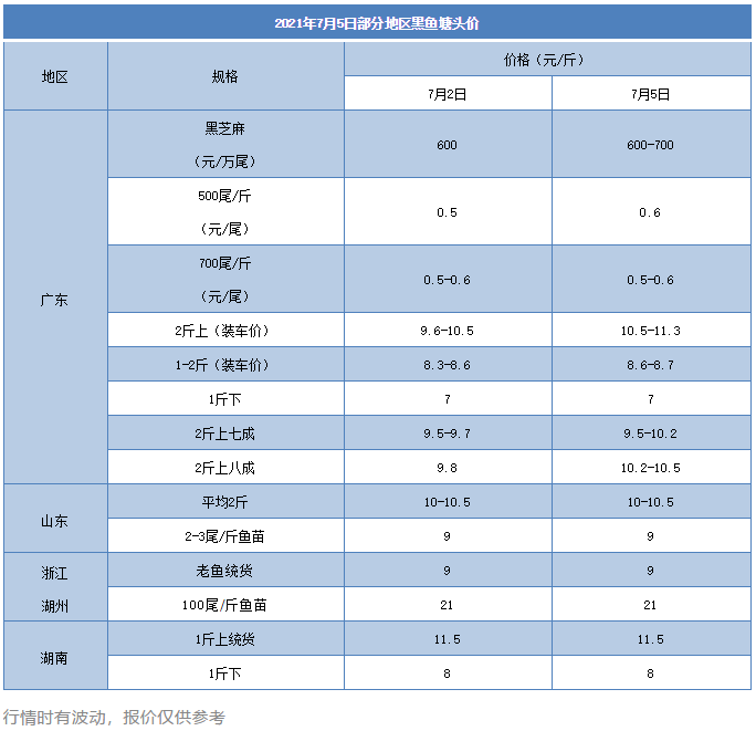 11.3元/斤！广东黑鱼继续涨，大规格鱼存塘量少而集中，散户们要注意这些