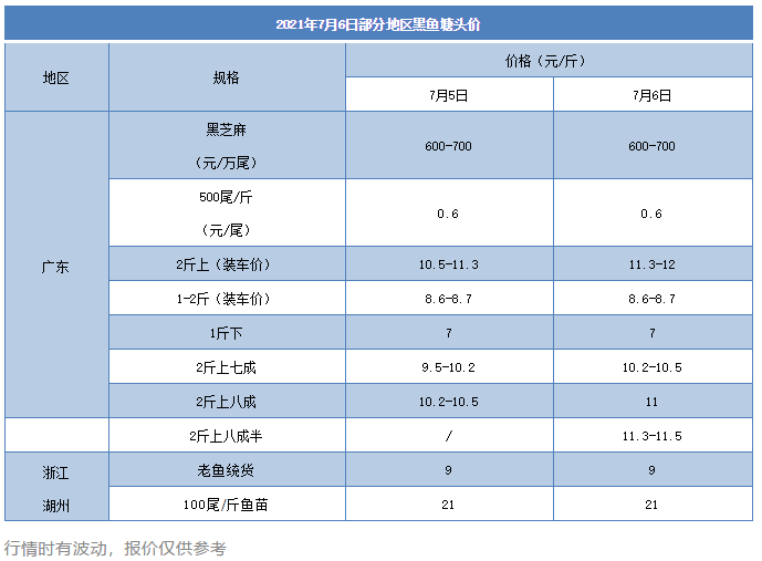 12元/斤！广东黑鱼连涨五天，塘头价最高11.5元/斤！接下来会怎样？