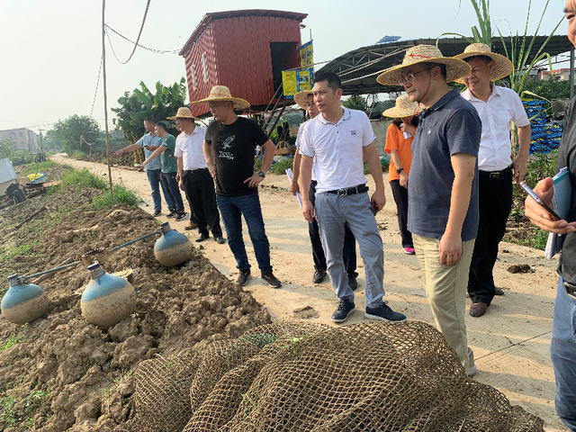 黑鱼养殖户从西江上抽水进塘换水，偷排药物超标污染水体被举报