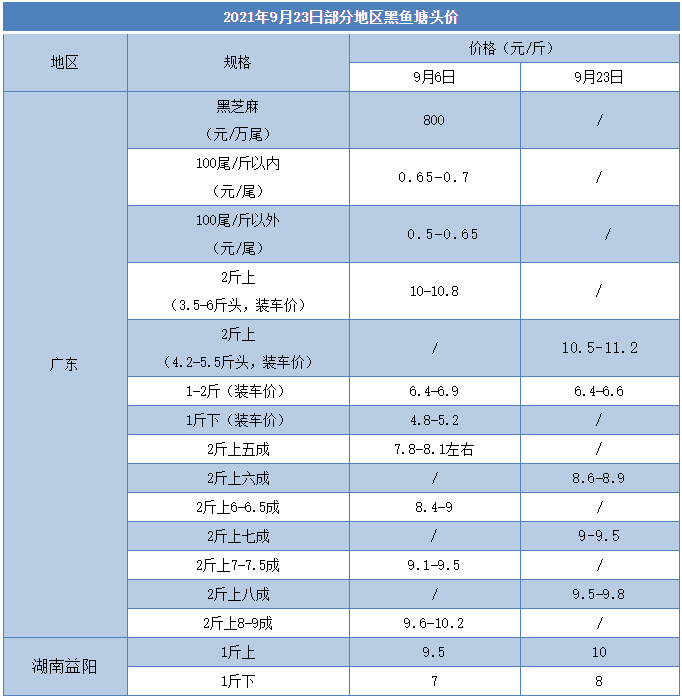 双节加持黑鱼价格上涨，多地上涨0.3-0.5元/斤！即将进入出鱼高峰期