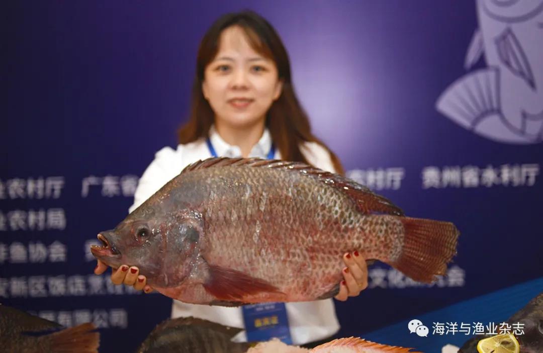 粤黔协作，有“鱼”更精彩！广东名特优水产品在贵州举行