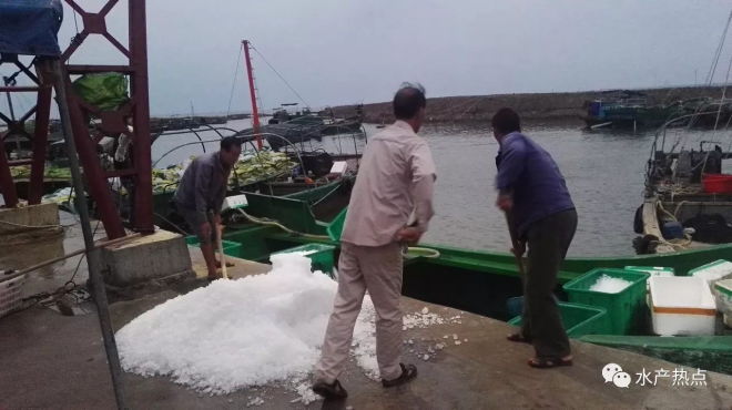 深海网箱金鲳鱼，如何一步步走进市场走上餐桌，你知道吗？这里为你一一解密