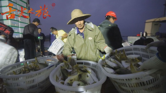 亿元大产业！广西防城港的小小金鲳鱼，舞动一道亮丽的风景线