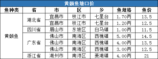 暴涨！草鱼、鲫鱼、鲤鱼、黄颡鱼存塘均告急，湖州4两黄颡鱼价格破21元/斤