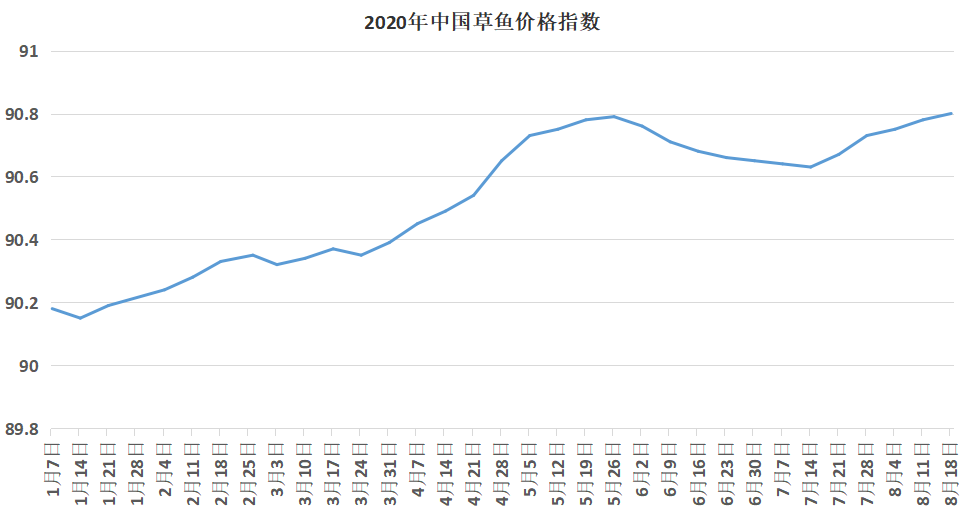 华南草鱼种再涨0.2元/斤！后市继续看涨