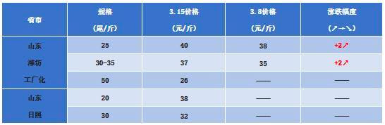 虾价行情逐渐回暖